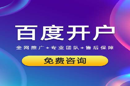 SEM运营策略案例分析